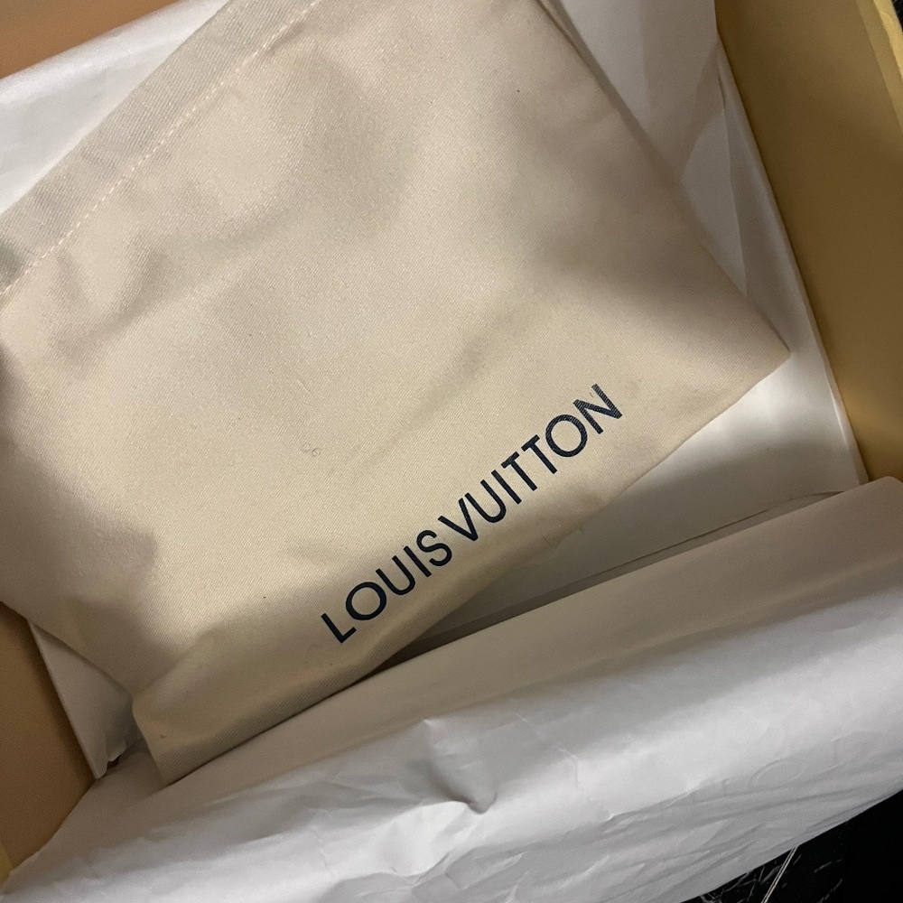 Louis Vuitton Trainer Monogram Denim
